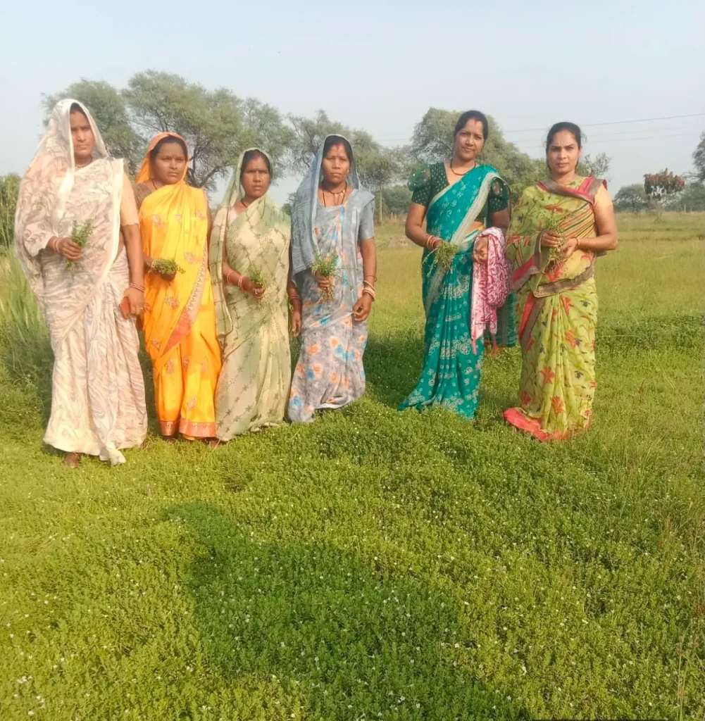 CM विष्णुदेव साय की पहल से बदली तस्वीर, बंजर जमीन से लाखों की कमाई कर रहीं महिलाएं