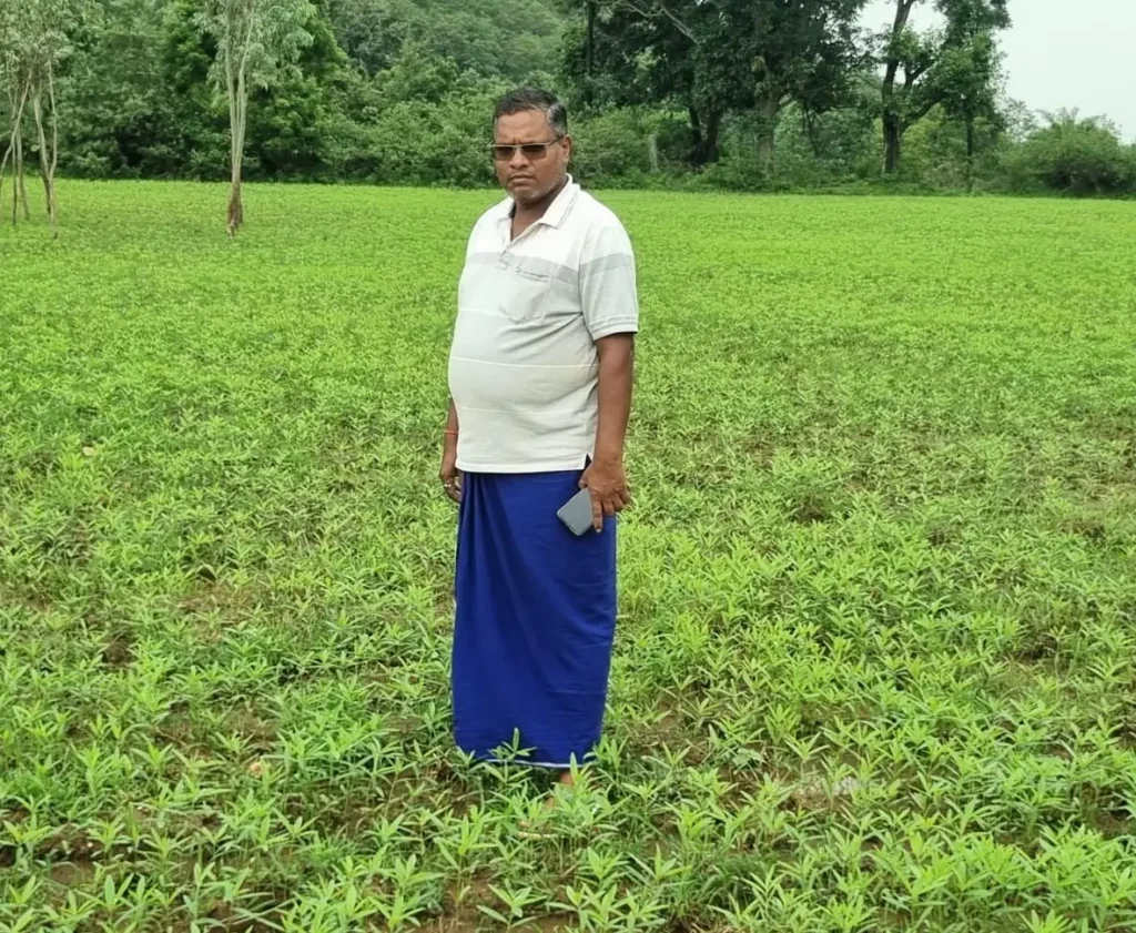 CM विष्णुदेव साय की कृषक उन्नति योजना का असर: धान छोड़ सन की खेती से किसान को 4 लाख की आय की उम्मीद