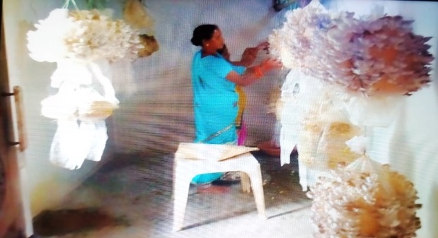 CG Success Story: स्व सहायता समूह से जुड़कर सविता साहू ने लिखी सफलता की नई कहानी