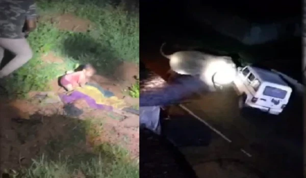 रायगढ़ में हाथी का तांडव, बच्ची को बचाते हुए महिला की मौत; वन विभाग की गाड़ी पर भी हमला