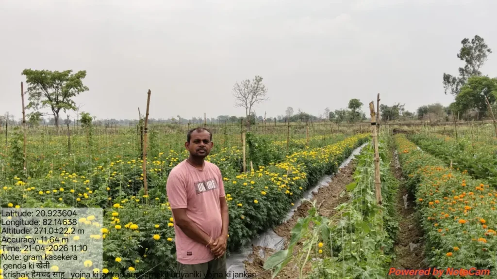 धान छोड़ फूलों की खेती से बदली किसान की किस्मत, आधुनिक तकनीक से बढ़ी आय