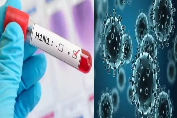 CG News: दुर्ग में स्वाइन फ्लू का पहला मामला, 2 साल 11 महीने की बच्ची H1N1 पॉजिटिव