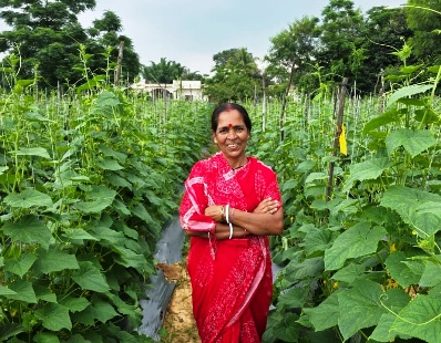 बिहान से मिला 1 लाख का ऋण, सुभद्रा मंडल ने शुरू की खीरे की खेती; ‘लखपति दीदी’ बनने का लक्ष्य