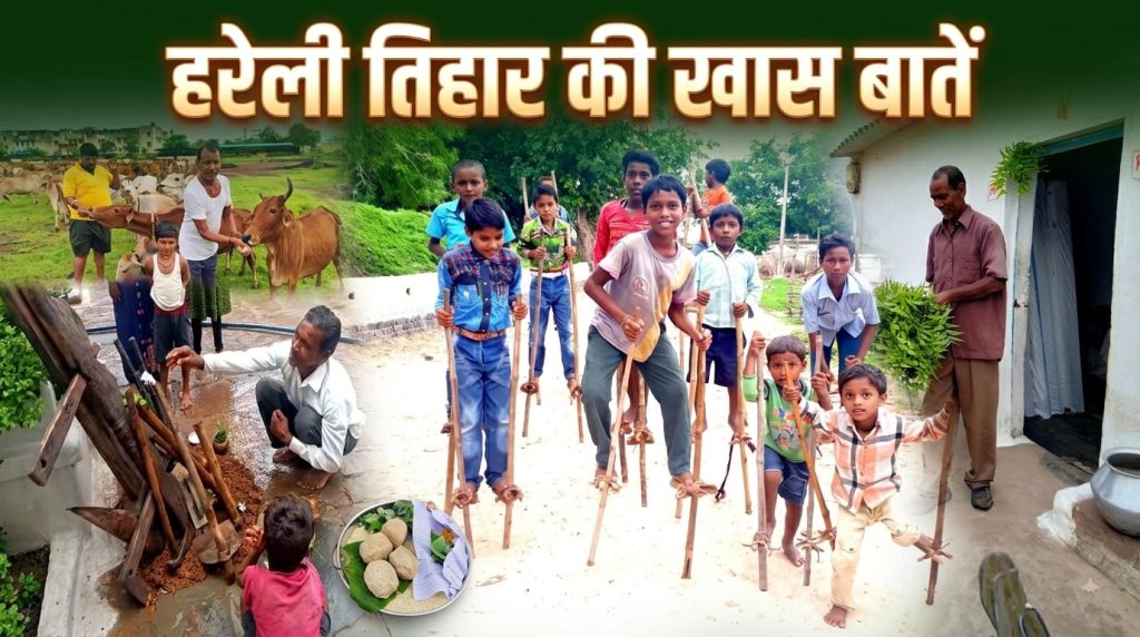 Hareli 2026: छत्तीसगढ़ का पहला लोकपर्व हरेली, जानिए खेती, पशुधन और गेड़ी से जुड़ी खास परंपराएं