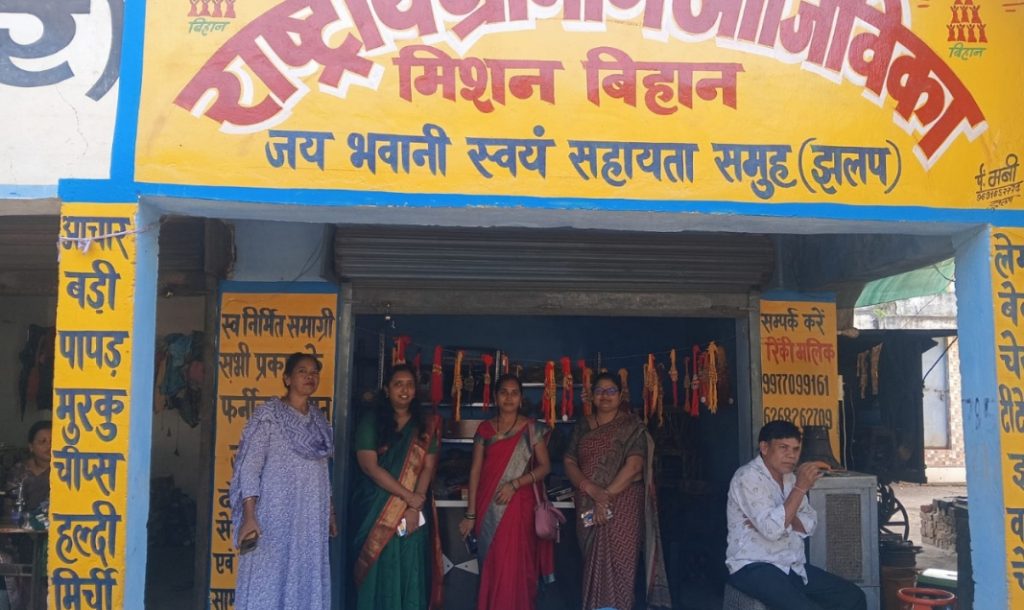 सोलर पैनल से लेकर हस्तनिर्मित उत्पादों तक, झलप में महिला समूहों की गतिविधियां देखीं CEO ने