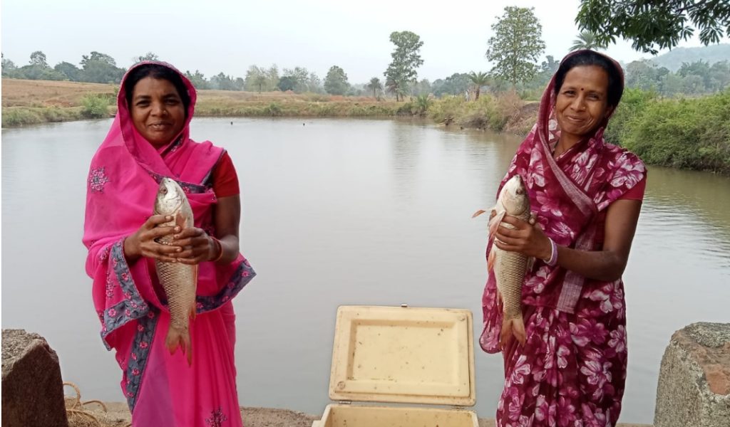 Jashpur News: मुख्यमंत्री साय के प्रयासों से SHG महिलाओं को मिला आजीविका का सहारा, मछली पालन से बढ़ी आय