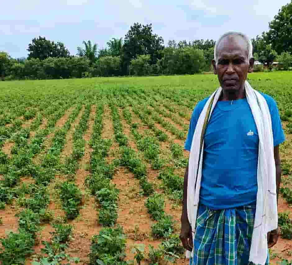 CM साय सरकार की NMEO योजना का असर, सरगुजा के किसान ने मुफ्त बीज से बढ़ाई बेहतर पैदावार की उम्मीद