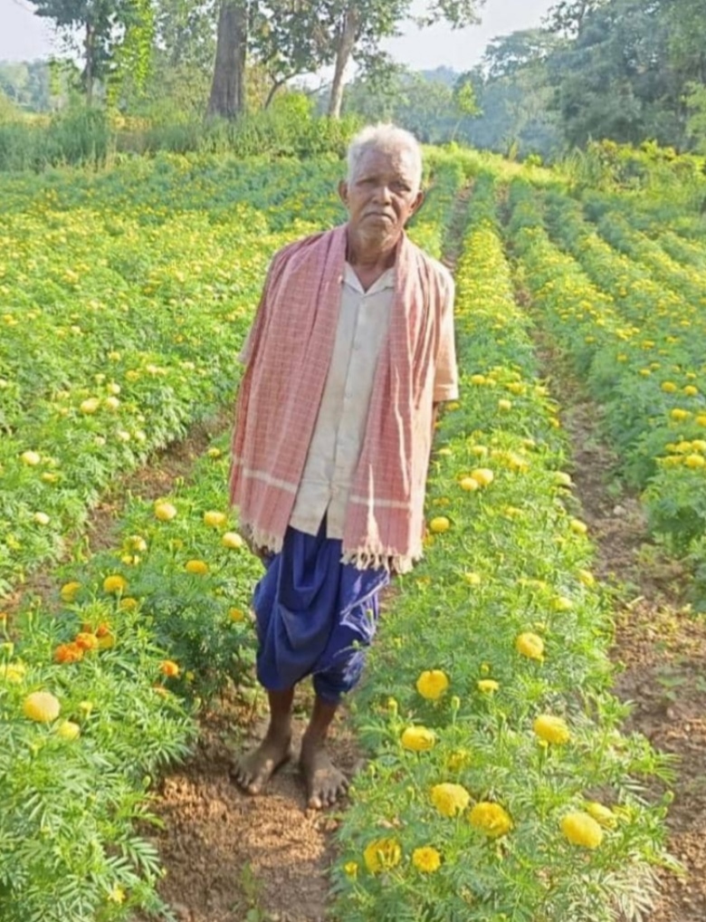रायगढ़ के किसान आनंद राम की सफलता: गेंदा फूल की खेती से 44 क्विंटल उत्पादन, ₹3.96 लाख की कमाई