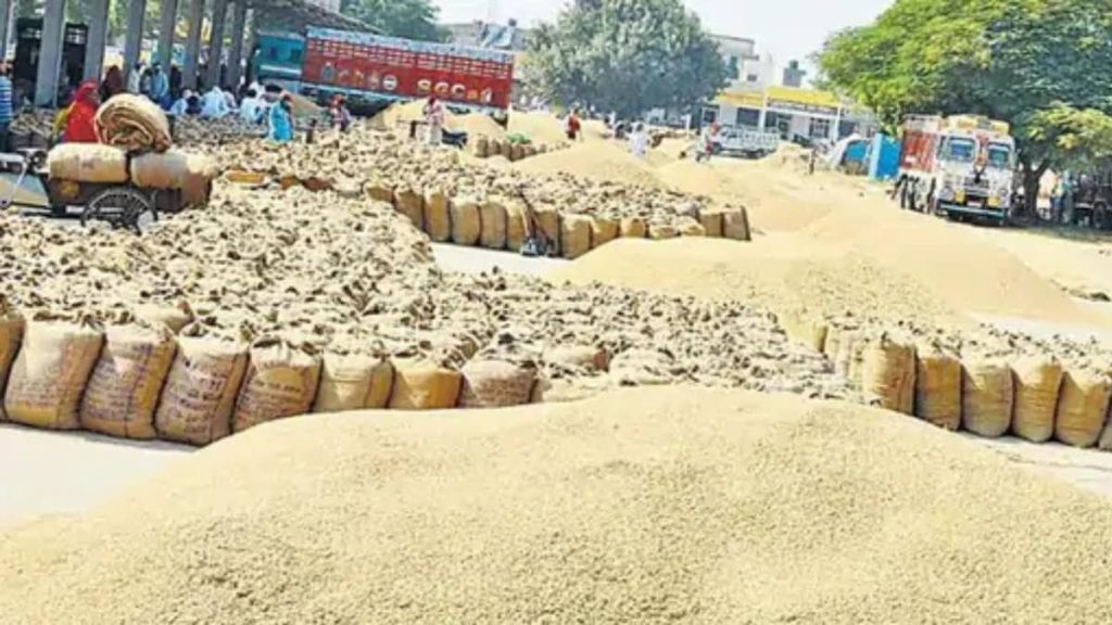 CG Paddy Procurement: 354 नए धान खरीदी केंद्रों को मिली मंजूरी, कम होगी किसानों की परेशानी