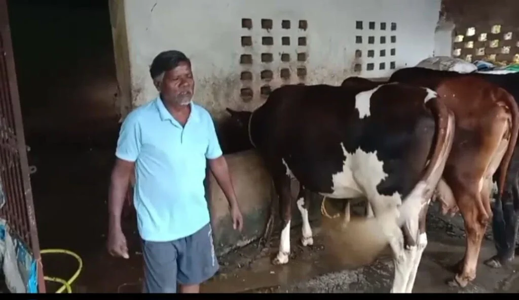 एक गाय से शुरू किया पशुपालन, आज 10 पशुओं का मालिक; अगस्तु खाखा कमा रहे 15 हजार रुपये महीना
