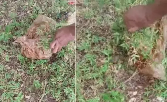 Bhilai News: सेप्टिक लाइन की सफाई के दौरान मिला अज्ञात व्यक्ति का सिर, इलाके में मचा हड़कंप